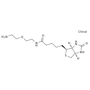 生物素-二聚乙二醇-氨基
